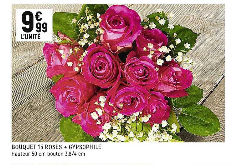 Bouquet 15 Roses + Gypsophile