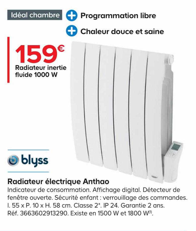 Radiateur Inertie Fluide 1000 W électrique Anthao Blyss