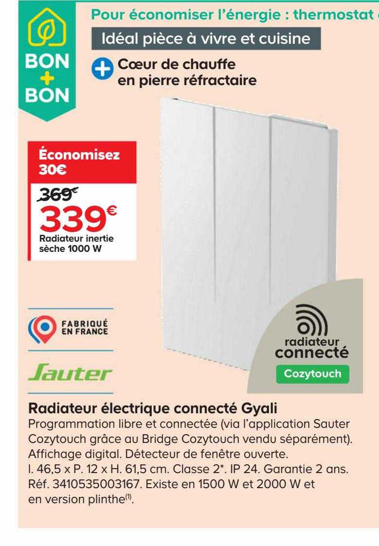 radiateur inertie sèche 1000 w électrique connecté gyali sauter