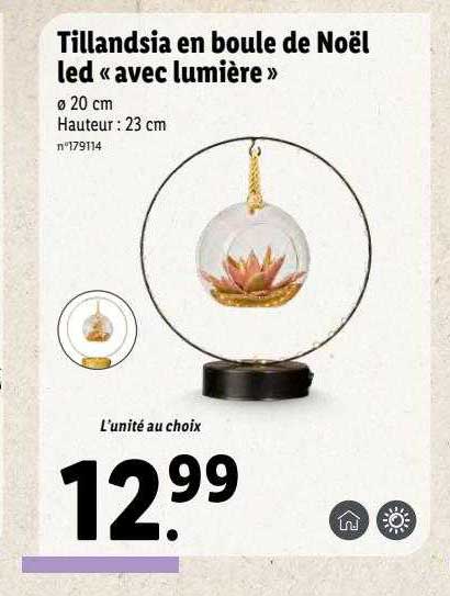 tillandsia en boule de noël led «avec lumière »