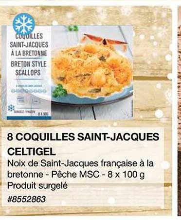 8 coquilles saint-jacques celtigel