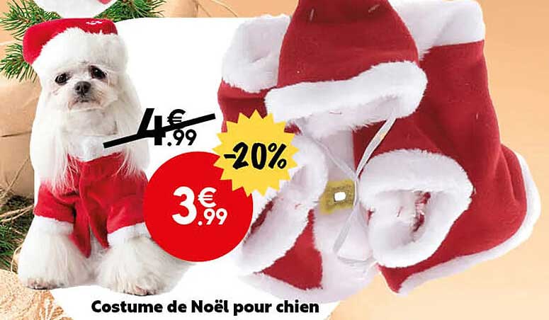 costume de noël pour chien