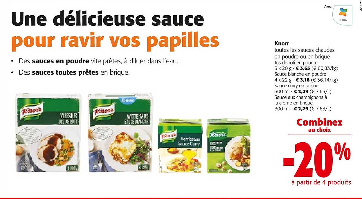 knorr les sauces chaudes en poudre ou en brique