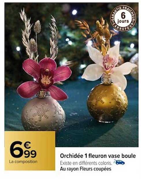 orchidée 1 fleuron vase boule