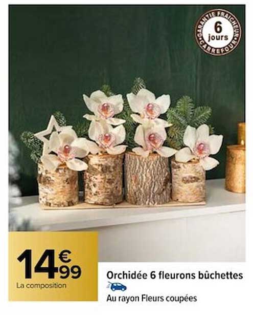 orchidée 6 fleurons bûchettes