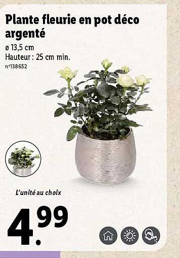 plante fleurie en pot déco argenté