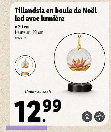 tillandsia en boule de noël led avec lumière