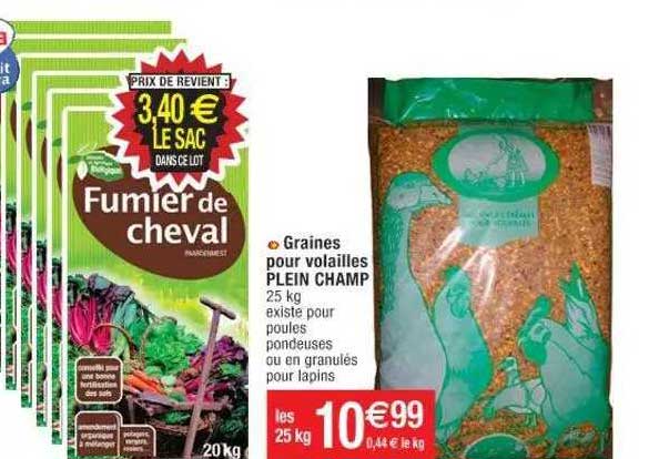 graines pour volailles plein champ