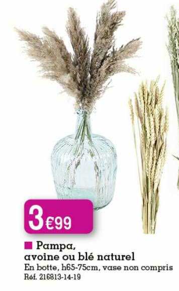 pampa, avoine ou blé naturel