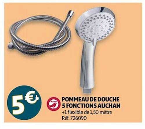 pommeau de douche 5 fonctions auchan