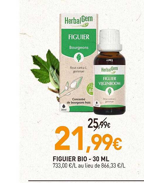 figuier bio - 30 ml