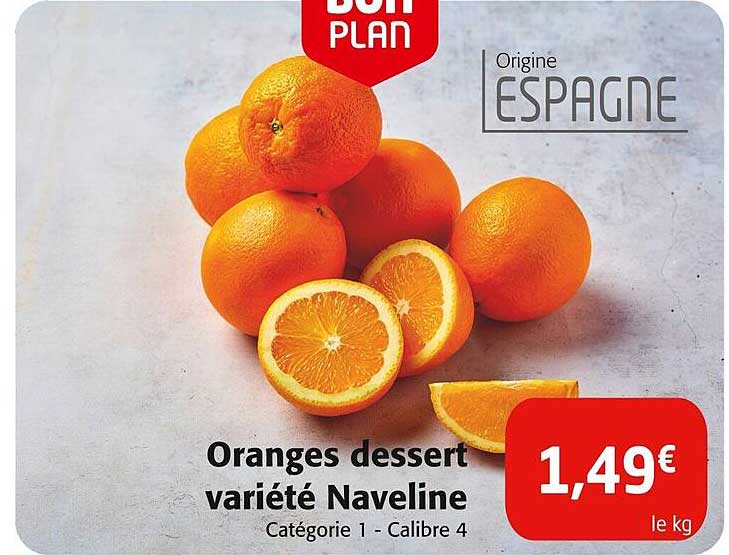 oranges dessert variété naveline