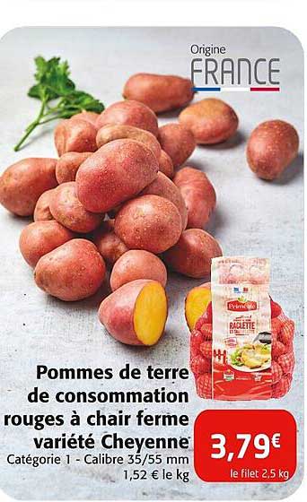 pomme de terre de consommation rouges à chair ferme variété cheyenne