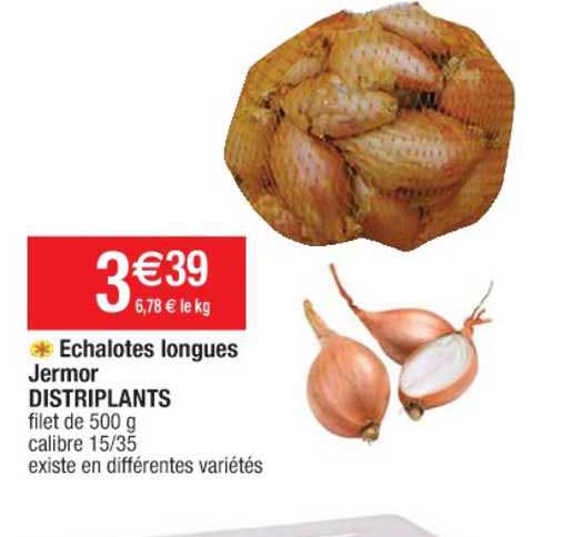 échalotes longues jermor distriplants