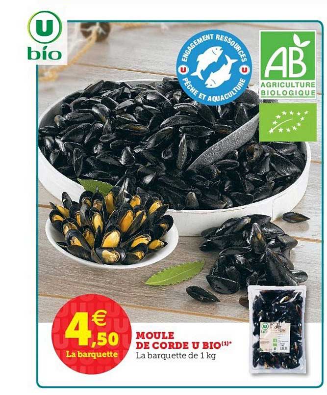 Moule De Corde U Bio