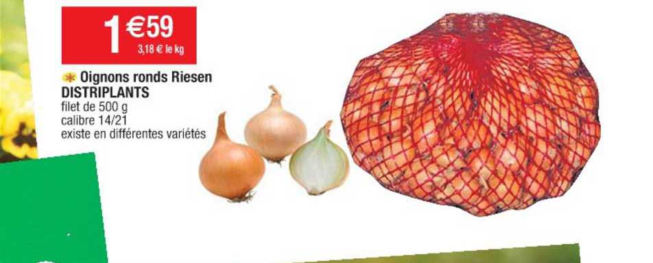 oignons ronds riesen distriplants