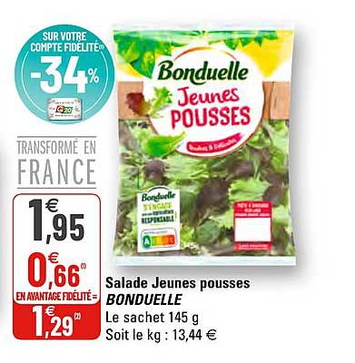 salade jeunes pousses bonduelle
