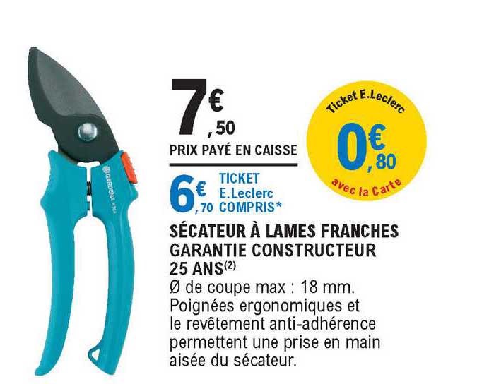 Sécateur à Lames Franches