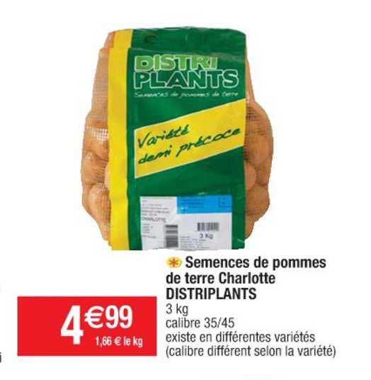 semences de pommes de terre charlotte distriplants