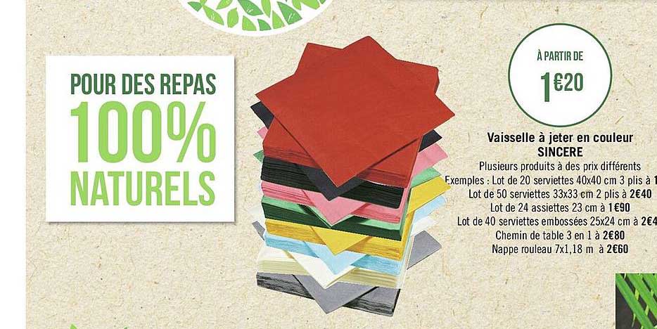 Vaisselle à Jeter En Couleur Sincère