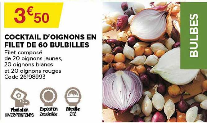 cocktail d'oignons en filet de 60 bulbilles