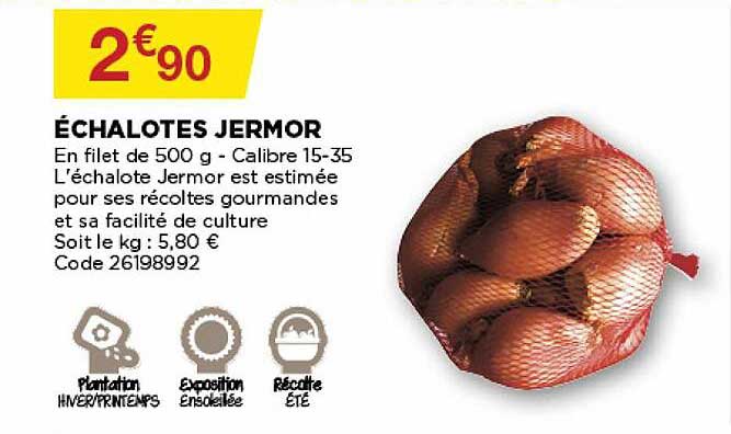 échalotes jermor