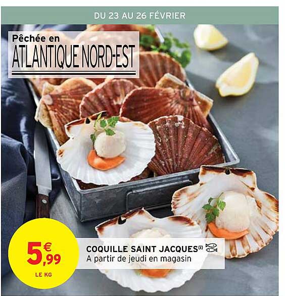 coquille saint jacques