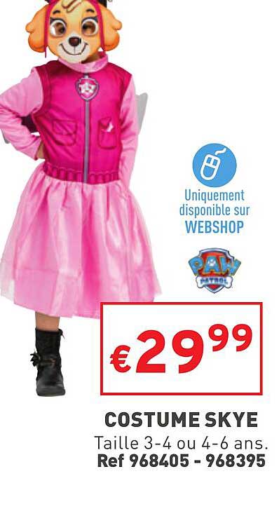 costume skye paw patrol