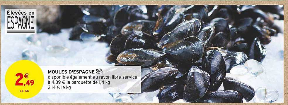 Moules D'espagne
