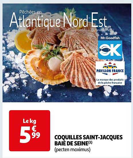 coquilles saint-jacques baie de seine