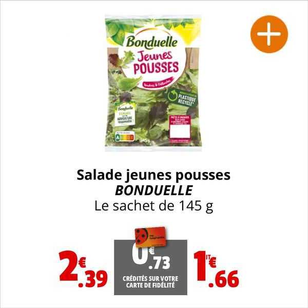 salade jeunes pousses bonduelle