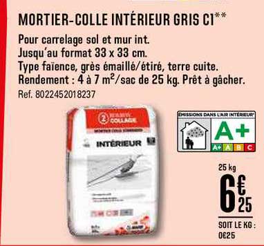 Mortier Colle Intérieur Gris C1