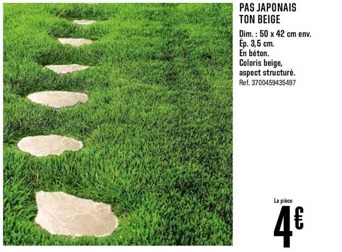 Pas Japonais Ton Beige