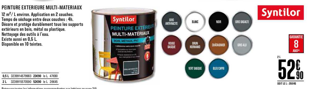 peinture extérieure multi matériaux syntilor