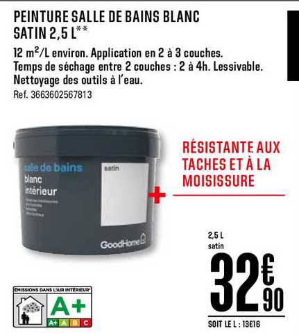 Peinture Salle De Bain Bricodepotnull