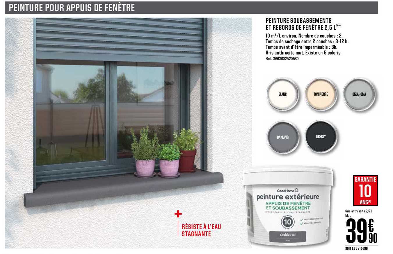 peinture soubassements et rebords de fenêtre 2.5l