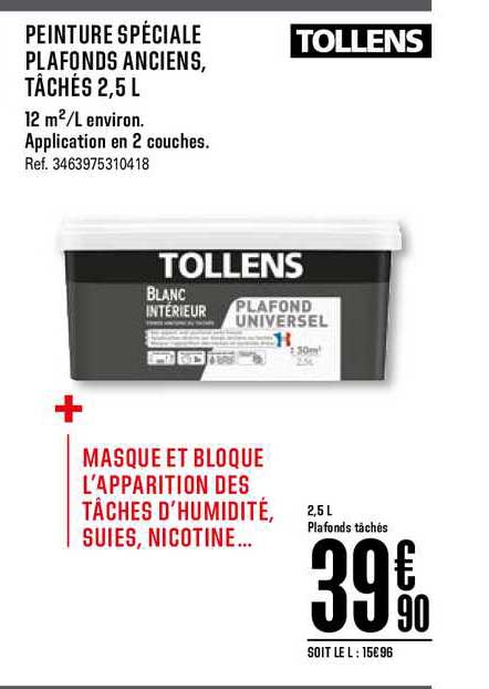 peinture spéciale plafonds anciens tâchés tollens