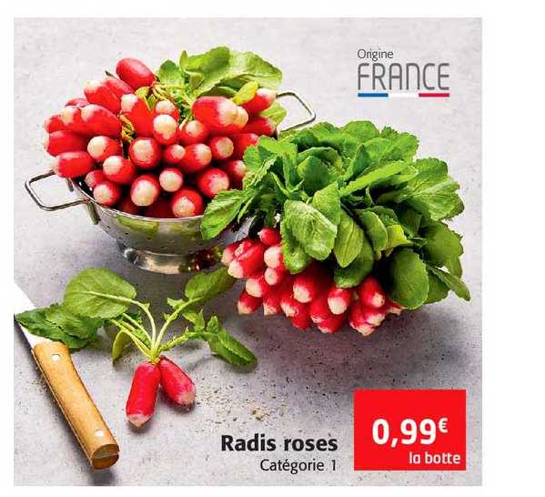 Radis Roses