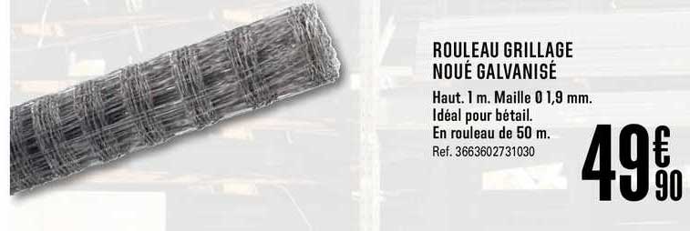 Rouleau Grillage Noué Galvanisé