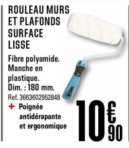 Rouleau Murs Et Plafonds Surface Lisse