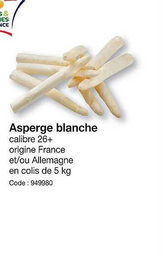 asperge blance