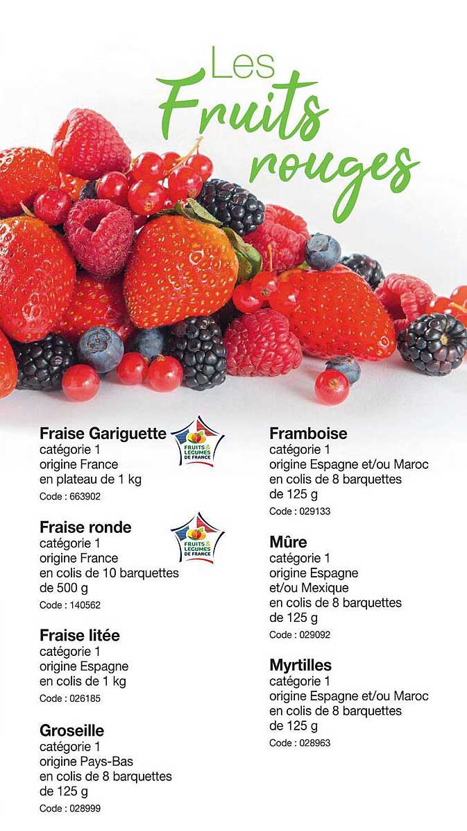 fraisse gariguette, framboise, fraise ronde, fraise litée, groseille, mûre, myrtilles