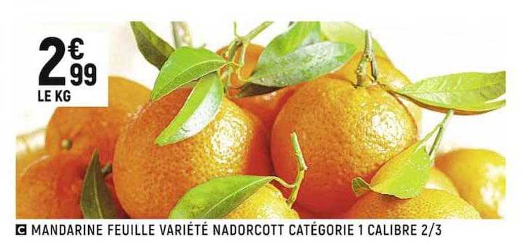 mandarine feuille variété nadorcott catégorie 1 calibire 2 3