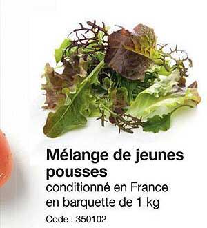 mélange de jeunes pousses