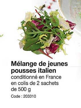 mélange de jeunes pousses italien