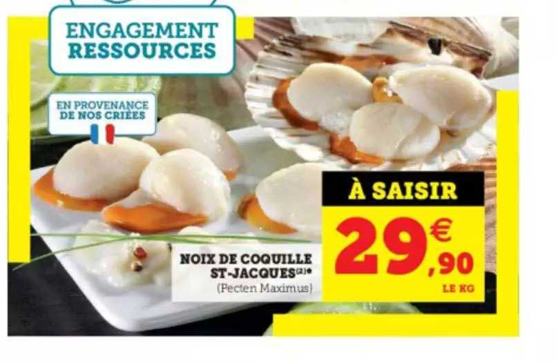 noix de coquille st-jacques