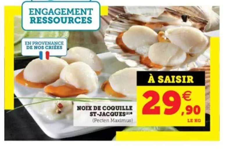 noix de coquille st-jacques