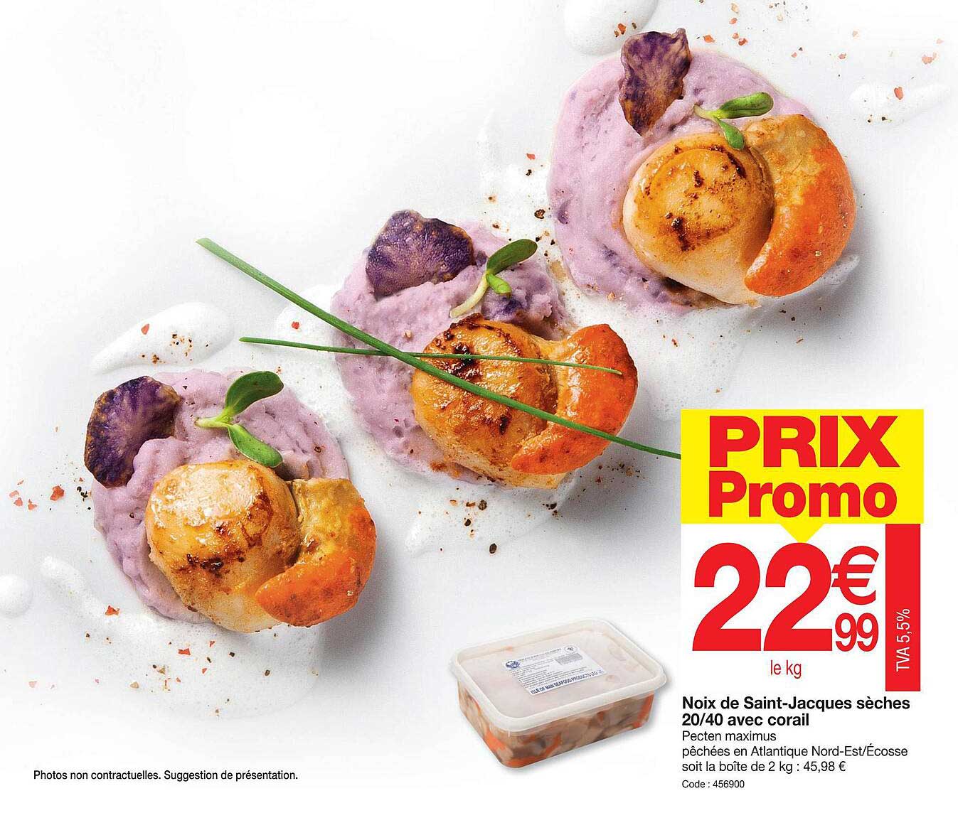 noix de saint-jacques sèches 20-40 avec corail