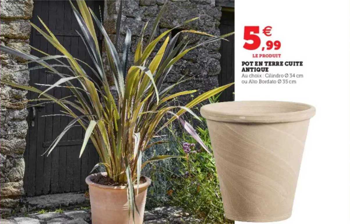 Pot En Terre Cuites Antique