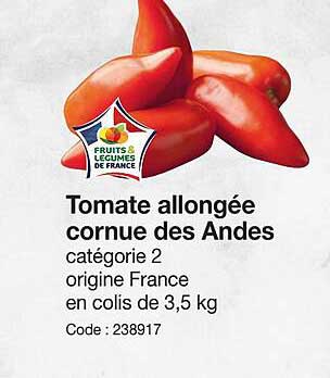 tomate allongée cornue des andes
